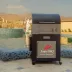10_باربیکیو مدل AMIN BBQ BSRC-۰۶۲