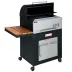 15_باربیکیو مدل AMIN BBQ BSRC-۰۶۲