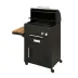 9_باربیکیو مدل AMIN BBQ BRC-۰۶۲