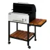 1_باربیکیو مدل AMIN BBQ BSRT-۰۶۲
