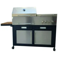 باربیکیو مدل AMIN BBQ SRC-110