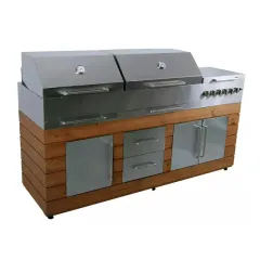 باربیکیو مدل AMIN BBQ SWRC-196